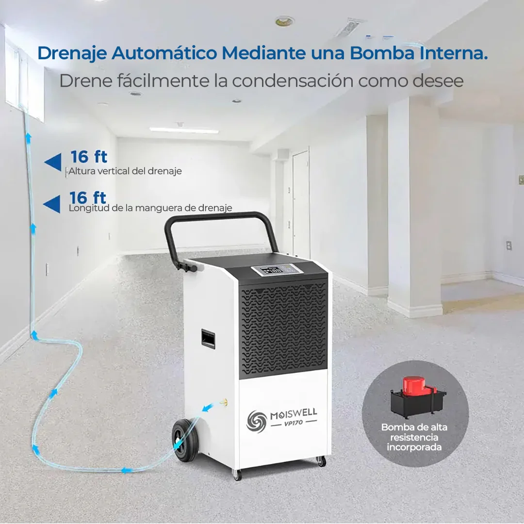 Deshumidificador moiswell 1
